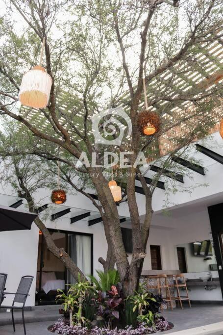 Villa Huizache Alberca Privada+Exclusividad+Lujo San Martín de las Pirámides 외부 사진